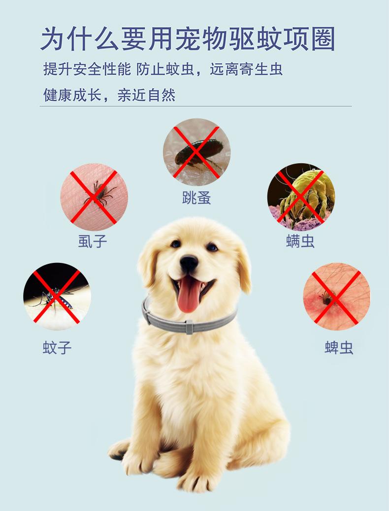 QQ图片20210813104350