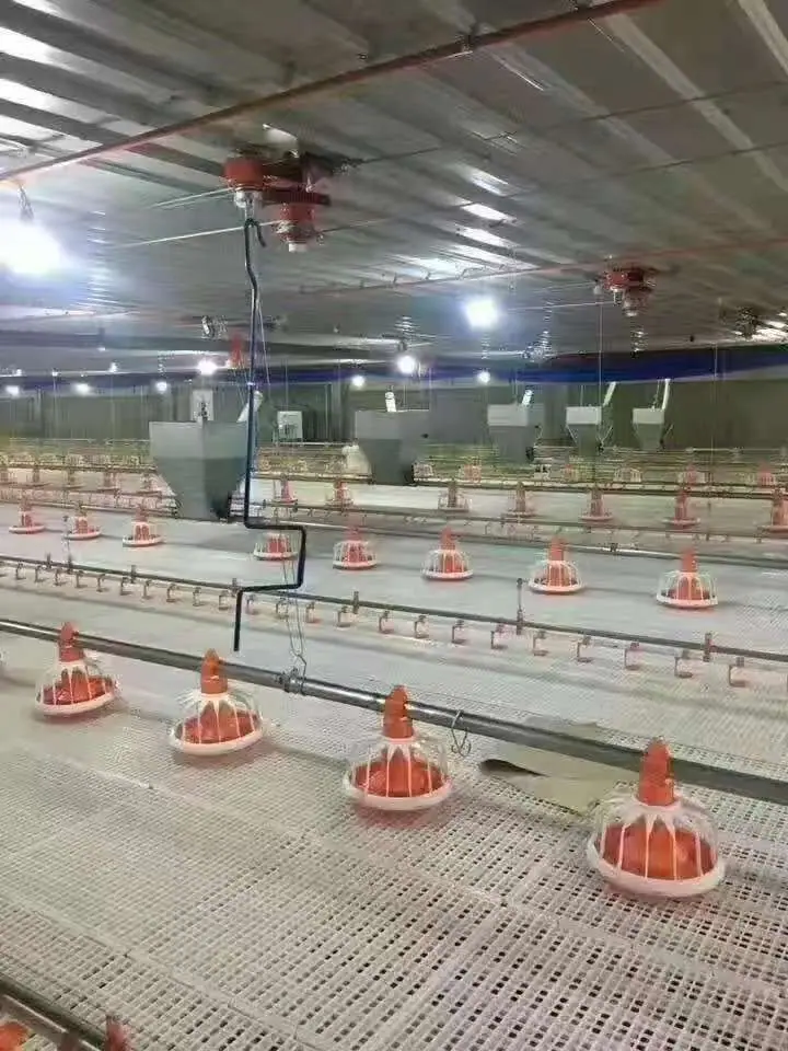 微信图片_20260414093703_131_7