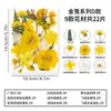 Kit de materiales DIY de especímenes de flores secas para regalos creativos hechos a mano para novias y amigas, decoraciones de escritorio