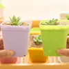 Pequeña combinación de maceta fresca y suculenta, mini escritorio, personalidad creativa, cuenca cuadrada pequeña de plástico para interiores