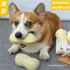 Juguetes para la Dentición de Perros para Perros Grandes, Medianos y Pequeños, Juguetes para Perros Resistentes a Mordidas para Aliviar el Aburrimiento, Auto-Placer y Mascotas Esféricas Sonoras