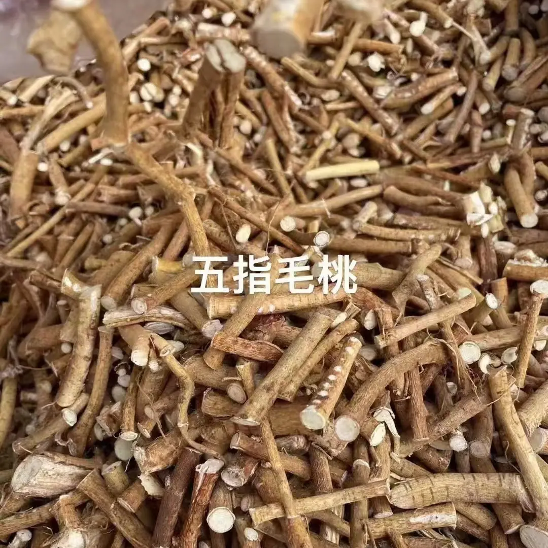 五指毛桃