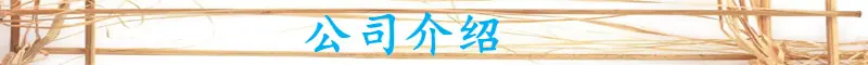 公司介绍