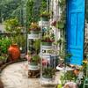 Soporte de escalera de hierro de seis macetas para flores, jardín de rábano verde, balcón, sala de estar, florería, soporte para macetas de piso para interiores