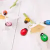 Micro Paisaje DIY Suculentas Pequeños Adornos Mini Madera Colorida Mariquita Pegatina Accesorios Decorativos