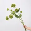 Venta directa de fábrica: Materiales florales estilo bosque verde, bolitas de cebolleta, bolitas bordadas, flores artificiales para decoración de bodas, accesorios para arreglos florales