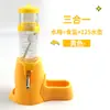 Suprimentos para Hamster Bola Chaleira de Água Bebedouro à Prova de Vazamento Alimentador de Água Bebedouro Pequeno Urso Dourado Chaleira de Água