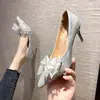 Zapatos de boda de una sola tira color champán francés, zapatos de novia para mujer otoño/invierno, nuevo estilo 2026, vestido de novia He Xiu, versátiles para boda y compromiso, tacones altos