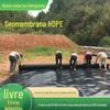 Fornecimento de fábrica geomembrana de piscicultura membrana impermeável para tanque de peixes novo material membrana de PE para lago de lótus
