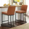 Silla de Comedor Tapizada de Terciopelo para Sala de Estar, Dormitorio, Balcón del Hogar, Silla de Comedor para Exteriores con Respaldo de Botones, Silla de Comedor Cómoda