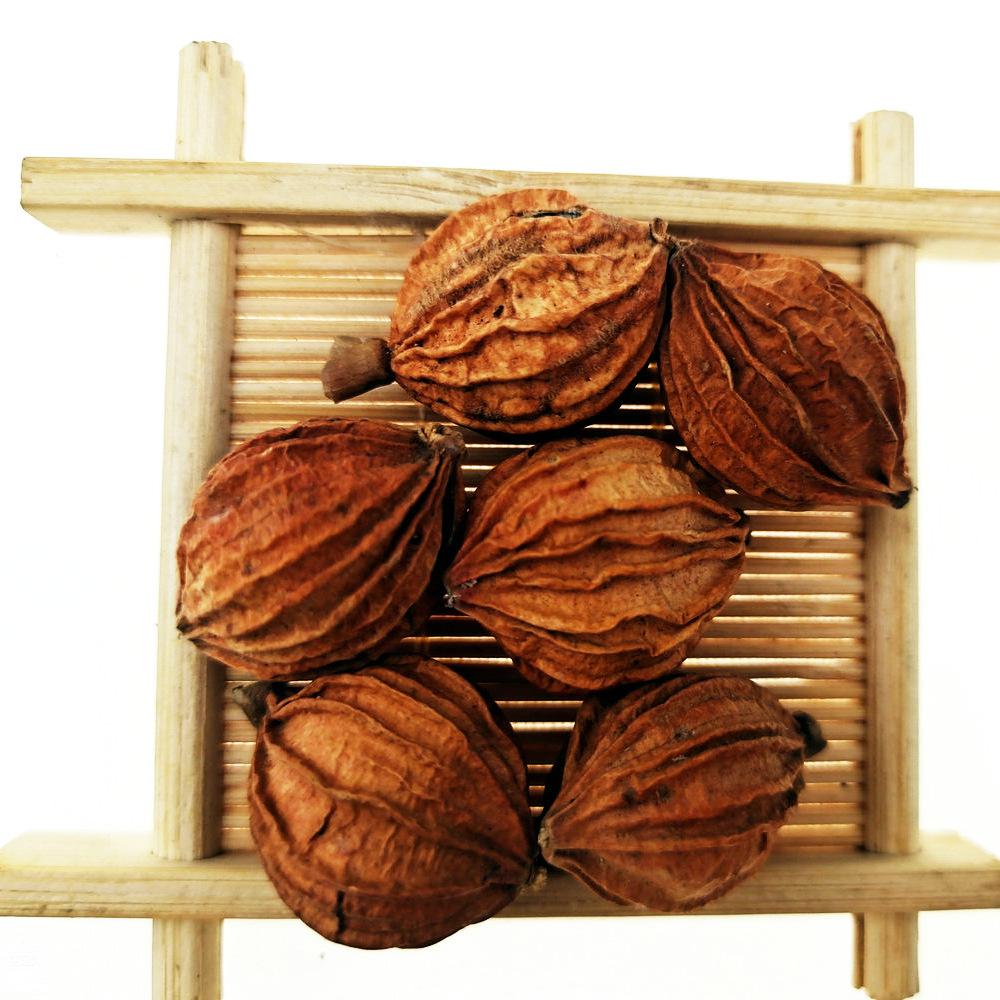 香砂仁1 (27)_1.jpg