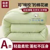 Algodón natural de grado A de Xinjiang, engrosado para abrigar, edredón de invierno, tamaño individual, adecuado para dormitorios de estudiantes, núcleo de edredón para todas las estaciones, edredón de primavera y otoño