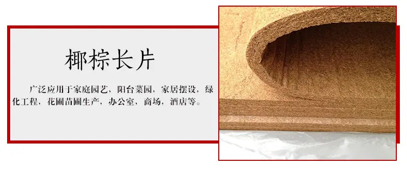 详情_05
