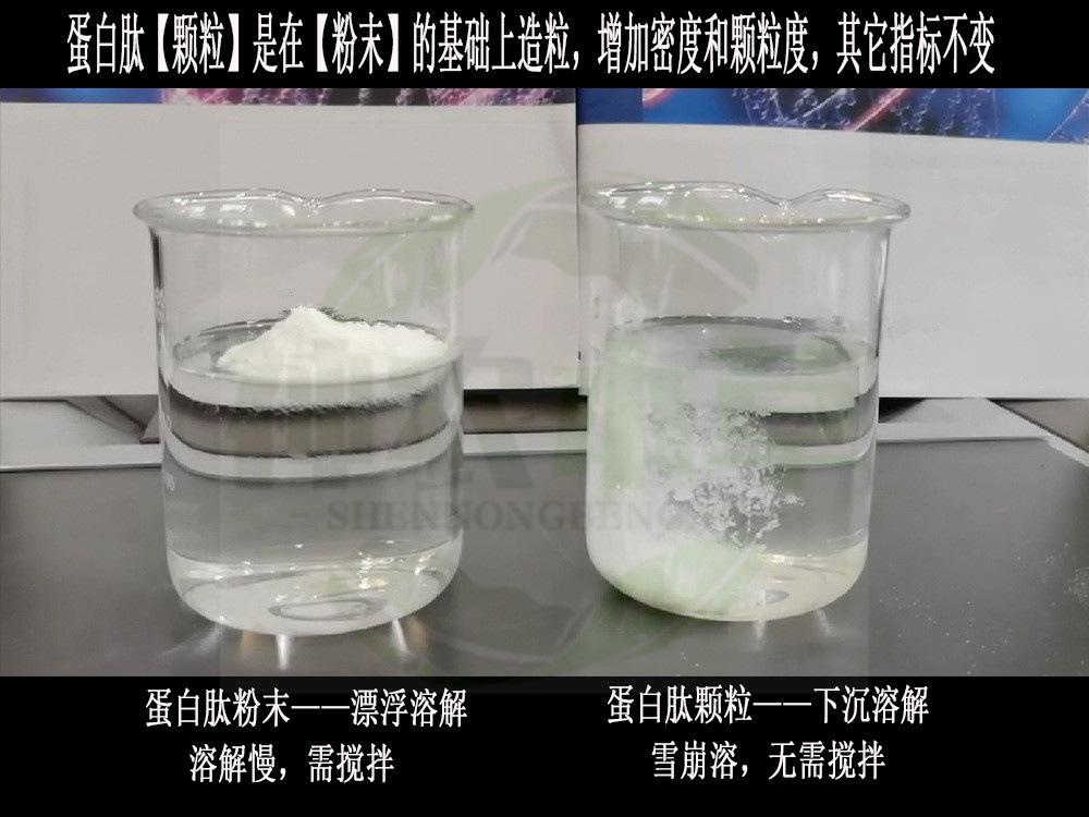 蛋白肽粉末颗粒对比水印