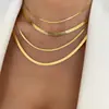 Collar de Hueso de Serpiente de Hoja de Moda Unisex Cadena Plana en Forma de Serpiente Venta Caliente Transfronteriza Cadena para Clavícula de Acero Inoxidable Estilo Corto