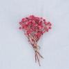 Mini Vacaciones Literarias Estilo Bosque Adornos de Flores Reales Decoración de Regalo Flores Eternas Paquete de Materiales para Ramo de Flores Secas Recuerdo