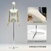 Adereços para Vitrine de Corpo Inteiro, Manequim Humano para Suporte de Exibição de Vestido de Noiva, Modelo para Loja de Roupas, Manequim Feminino de Meio Corpo