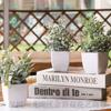Plantas Simuladas de Venta Caliente Transfronteriza, Plantas Falsas, Plantas Verdes, Decoración Interior y Exterior Plástico Macetado Eucalipto Plantas Pequeñas en Maceta