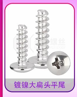 镀镍圆头平尾自攻白_15_10.jpg