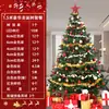 Pacote Árvore de Natal 1,2m/1,5/1,8/2,1/ 3m Pacote Doméstico Criptografado Decoração Grande Luminosa de Natal