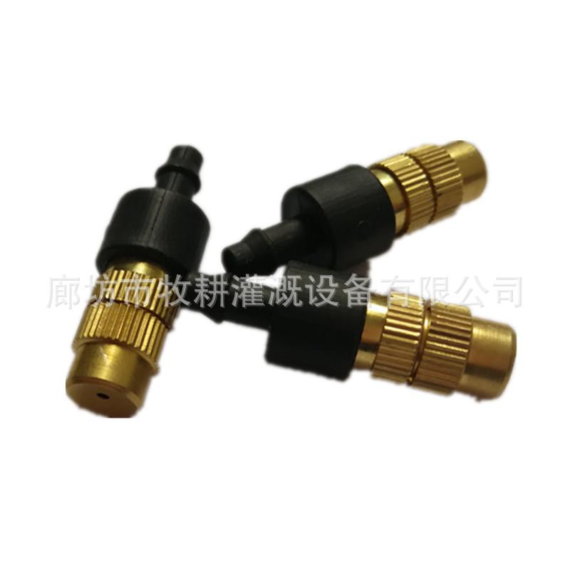 IMG_20181126_110336_副本