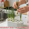 Caja de cultivo hidropónico multiagujero para plántulas de cebolleta, macetas hidropónicas caseras para cebolletas, jengibre y ajo, macetas hidropónicas de cocina para interiores para verduras, en stock