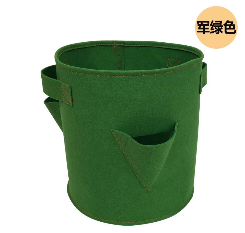 草莓详情9