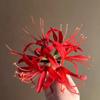 Horquilla de estilo pastoral con forma de estrella y flor de Bianhua, estilo antiguo de hada, con clip lateral Hanfu.