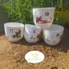 Macetas, Macetas de Imitación Porcelana, Macetas para Suculentas, Macetas de Plástico para Plantas en Maceta al por Mayor, Charolas para Pothos, Tamaño Grande