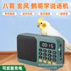 Máquina de falar papagaio, brinquedo para pássaros, repetidor de fala especial para calopsitas, brinquedo educativo para treinamento de conures-sol