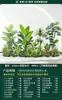 Paisagismo de Combinação de Plantas Verdes sob a Escada, Paisagem Tropical com Plantas Artificiais, Árvores Artificiais, Decorações de Plantas em Vasos para Interior