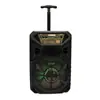 Altavoz con asa extensible de 8 pulgadas para exteriores, luz LED, BT-2079, audio Bluetooth inalámbrico con asa extensible, alta potencia