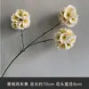Flores Artificiales de Seda Color Champán para Arreglos Florales, Decoraciones de Pasillo, Arcos, Flores para Techo de Salón de Bodas y Decoraciones de Boda