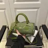 Bolsos Pequeños Populares de Este Año para Mujer 2025 Nuevo Verano Casual Diseño Nicho Bolso Bandolera Bolso Almohada de Mano