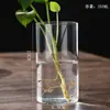 Florero de Vidrio de Borosilicato Alto Botella Cilíndrica Recta para Plantas Hidropónicas Adorno de Decoración de Escritorio Maceta Pequeña Florero Venta al por Mayor