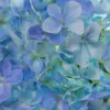 Hortênsia Anna 3D Transfronteiriça 10 Cores Flor Artificial Decoração de Casa Layout de Hotel Conjunto Externo Flor de Pista de Casamento
