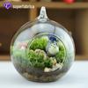 Fábrica atacado micro paisagem vaso de vidro micro paisagem garrafa ecológica suculenta musgo garrafa redonda 8cm
