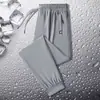 Pantalones Casuales Rectos para Hombre Pantalones Juveniles Populares Verano 2024 Nuevos Pantalones de Seda Helada Pantalones Deportivos