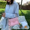 Bolso pequeño nuevo de verano 2024, popular, nuevo, de moda, estilo coreano, versátil, bolso de mensajero, bolso de moda de red roja para mujer.