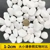 Piedra Yuhua Natural de Guijarro Piedras Blancas Pequeñas Piedra para Acolchado de Suculentas Maceta para Plantas en Maceta Hidroponía Piedra Blanca