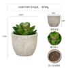 Bonsái artificial de hoja de manzana carnosa en maceta, mini planta verde artificial, decoración de escritorio, regalo, planta de simulación