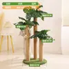 Marco de Escalada para Gatos Transfronterizo, Rascador para Gatos de Palmera, Rascador Vertical Resistente a Arañazos y Sin Pelusa de Cuerda de Cáñamo, Suministros para Mascotas para Entretenimiento Propio
