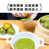 Novo Pó Pré-Misturado Verde Brilhante Tuan Sem Cozimento Doméstico Fruta Qingming Caseira Especial Folha de Artemísia Comestível em Pó Diy Tuan Verde