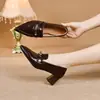 Zapatos de tacón alto de punta para mujer, nuevo estilo otoño e invierno 2026, sin cordones, tacón grueso con hebilla metálica, zapatos de cuero simples y elegantes para el trabajo