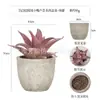 Planta en Maceta Artificial Mini Transfronteriza Hecha a Medida Adornos de Escritorio Bonsái Suculento de Simulación Flor Artificial Planta Verde Pulpa Suculenta Planta en Maceta