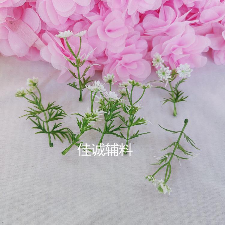 椰树-花 花白花一支.jpg