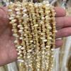Pulsera de cuentas con forma de herradura de caracol marino natural, con agujeros horizontales, hecha a mano, joyería DIY