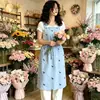 Comercio Exterior Transfronterizo Delantales Impermeables y Resistentes a Manchas para Floristerías al por Mayor, Delantales con Tirantes Impermeables Finos de Taslon para Verano