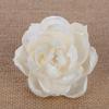 Venda direta da fábrica 11 cm decoração de flores secas arranjo de flores flor rattan acessórios voláteis aromaterapia expansão de flores fragrância flor
