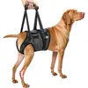 Modelo Novo Mais Vendido no Exterior de Coleira Assistiva para Cães, Coleira de Segunda Geração com Proteção da Cintura para Prevenir Escorregões, Força Distribuída Uniformemente, Coleira de Reabilitação para Cães para Auxiliar na Locomoção